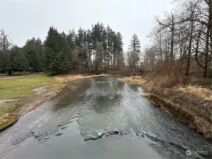 Schaefer Park.   Skookumchuck River