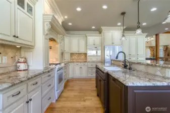 Granite counter tops with ample cupboard storage
