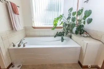 Soaking Tub