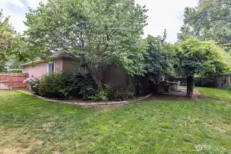 Back yard looking NE