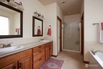 Dual Sinks