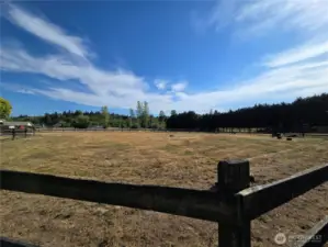 One pasture.