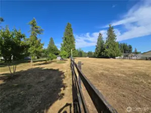 Looking at another pasture.