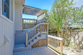 Back Deck