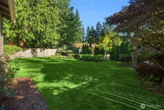beautiful backyard