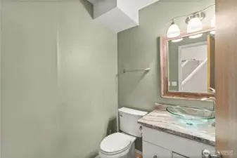 Lower level Bathroom