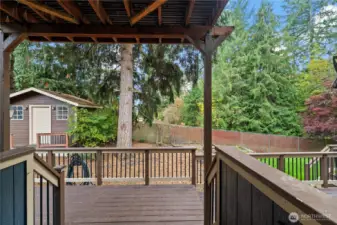 Deck from Living room