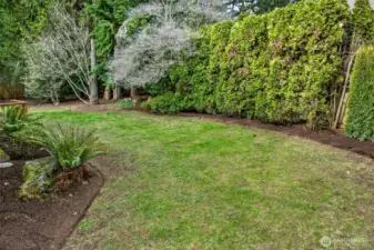 Another wide yard angle shows the usable lawn and the natural privacy created by mature landscaping. The space feels serene and green, with room to garden, play outdoor games, or simply relax.
