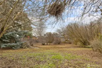 back yard and garden area.  Fruit trees included!