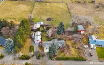 Outdoor space for all your furry friends!