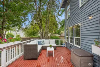 Outdoor Living Room