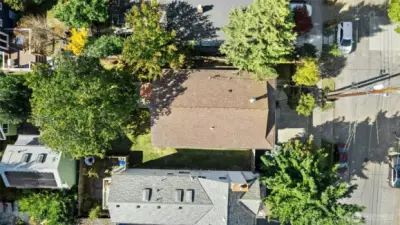 Level 4590 sq. ft. lot.  Back yard tree is a Black Walnut.