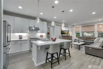 Luxury lighting package floods the home with light.