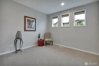 Bonus room offers flex uopportunity - office, fitness studio.