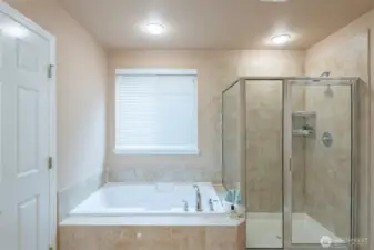 Master bathroom