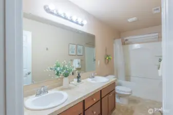Guest bathroom
