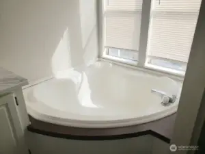 Picture of the Huge Primary Master Bathroom Showing the Large Soaking Tub for Relaxation.