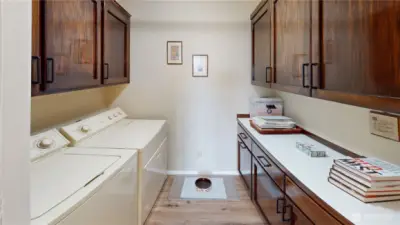 Laundry w/ Counter space