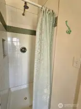 Main floor bathroom shower