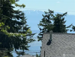 View from primary bedroom of Puget Sound and the Olympic Mountains. Watch for cruise ships and Orcas!