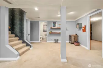 Lower Level features approx.1200 sq.ft. of beautifully finished space that can function as Guest Space, Teenage Heaven, MIL, AirBNB. Staircase has comfortable low risers for easy access.