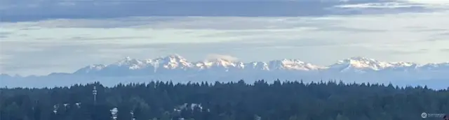 Olympic Mountains from your front Deck
