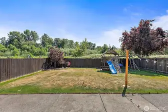 Great Backyard - No one behind! Large patio!