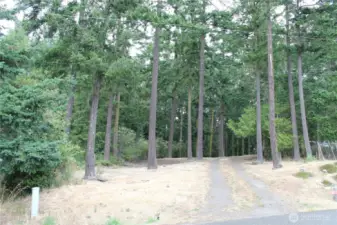 Cleared lot ready to build
