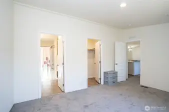 Alternate view of the primary suite, showcasing the walk-in closet and private ensuite.