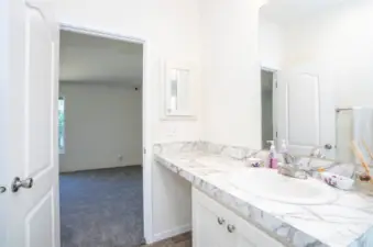 Primary ensuite with a view into the adjoining primary suite.