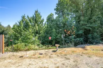 Another view of the side yard—bringing nature right to your doorstep.