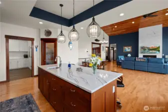 Walk-in pantry with custom-designed glass inlay door.