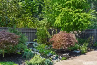 Gorgeous landscaping!