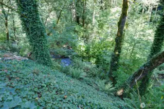 CREEK WAY DOWN THE SLOPE