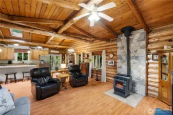 Great Room/Ceiling Fan
