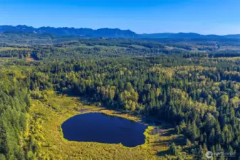 Moss Lake Natural Area