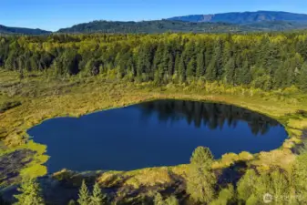 Moss Lake Natural Area