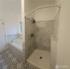 Main floor master bath