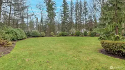 Large level 1-acre lot with lovely trees lining the perimeter