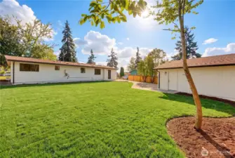 AI enhanced to show growth