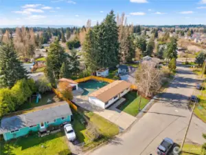 Hydroseed on back lawn