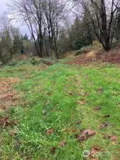 Partially cleared building site