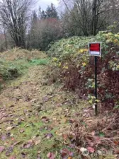 Other end of future driveway