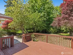 View of Mature Landscaping including Fruit Trees