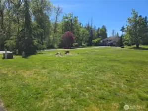 Large home to the South on acreage.