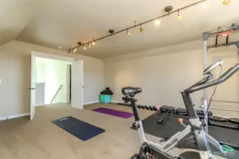 Huge third floor bonus room with tons of lighting
