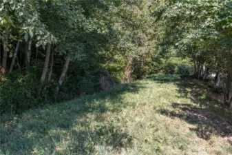 A look back at the driveway area.