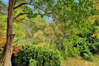 Overlooks natural greenbelt.