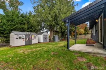 Big back yard - don't miss the cool tree house