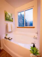 PRIMARY TUB...CALGON TAKE ME AWAY...SKIP THAT IT WAS LAUNDRY DETERGENT